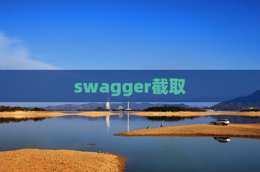 swagger截取